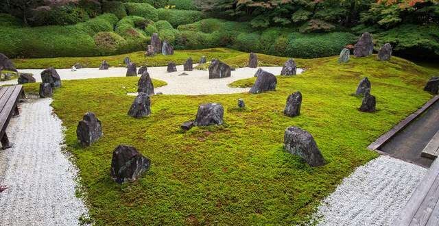 Rock gardens