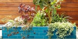 Create the Ideal Landscaping for your Pool
